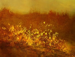 DETAIL FROM “DUSK, EDGE OF THE RIVER” (FINAL VERSION) (OIL ON CANVAS,&nbsp;24″X30″)