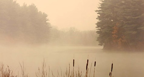 Foggy Marsh (Photograph)