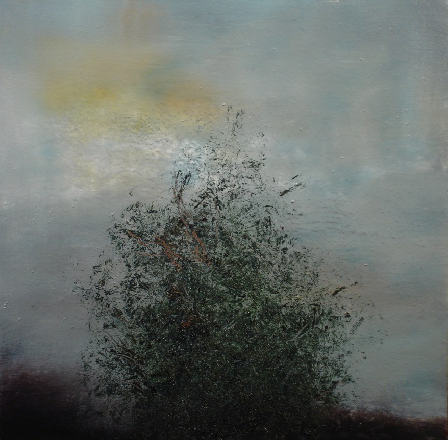 oil on panel  12"x12"