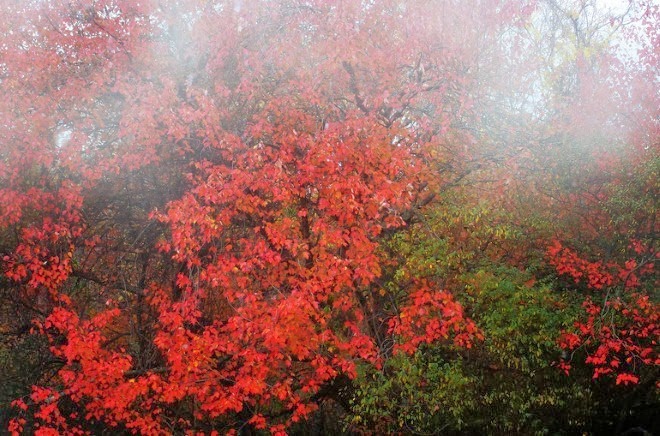 Американский художник. Maurice Sapiro
