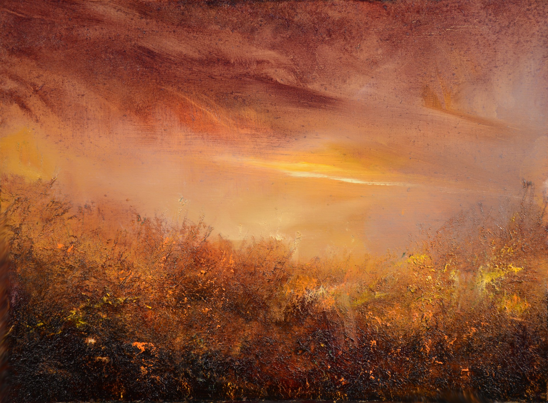 oil on panel  12"x16"